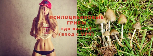 ешки Верея