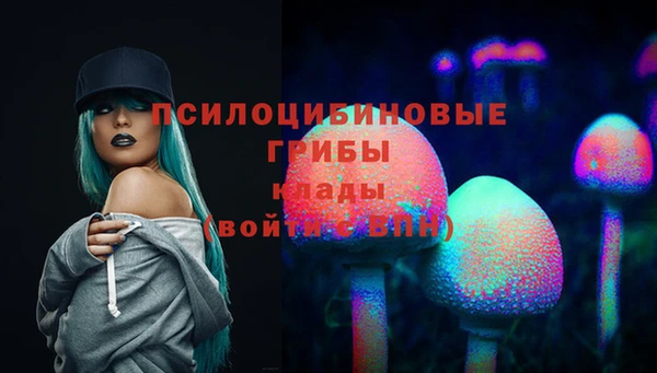 ешки Верея