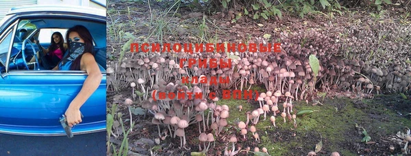 ешки Верея