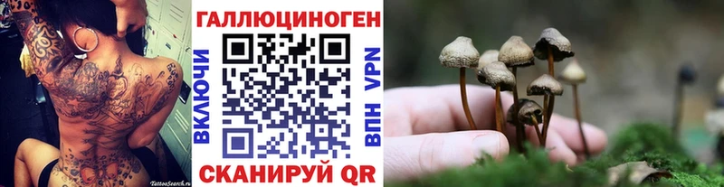 блэк спрут ссылка  Оса  Галлюциногенные грибы мухоморы 